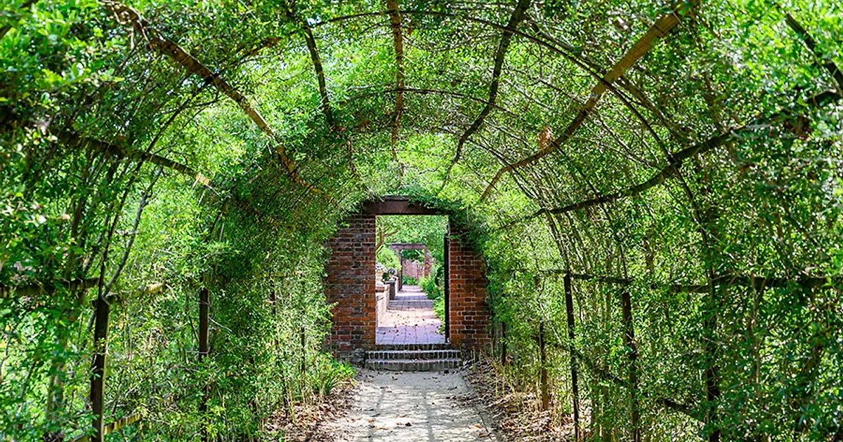 Tryon Palace Celebrates 250 Years