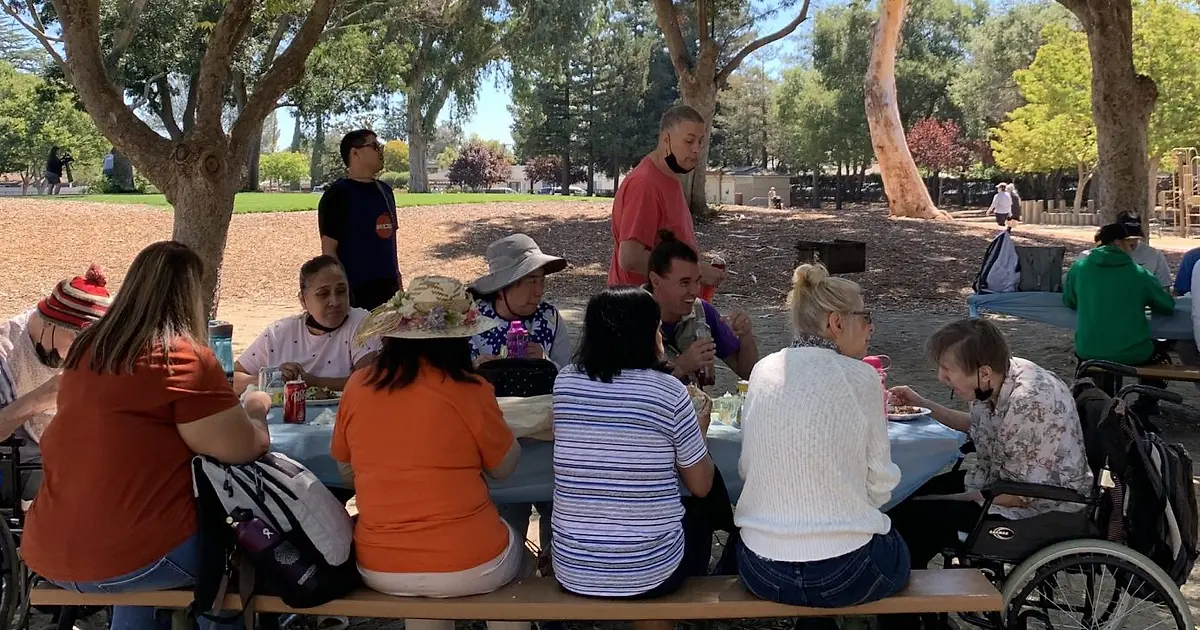 Day Programs for Adults with Developmental Disabilities | Life Services ...