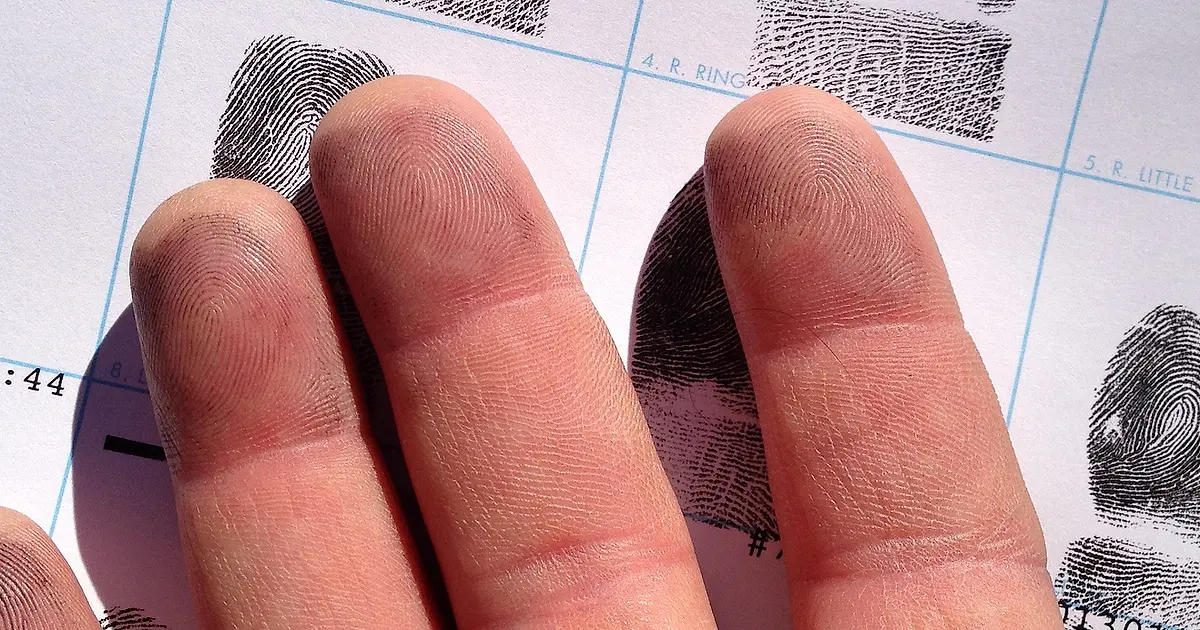Fingerprints Lesson Lesson plan helps make identifying fingerprints fun | North Carolina ...