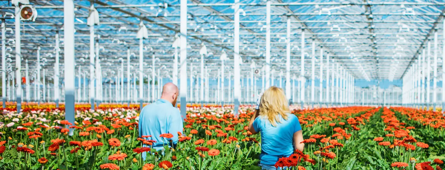 H2A / H2B Work Visa Soon) Sustainabloom
