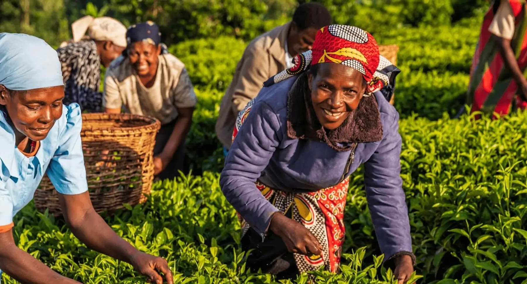 Locally Led Development | OCDC