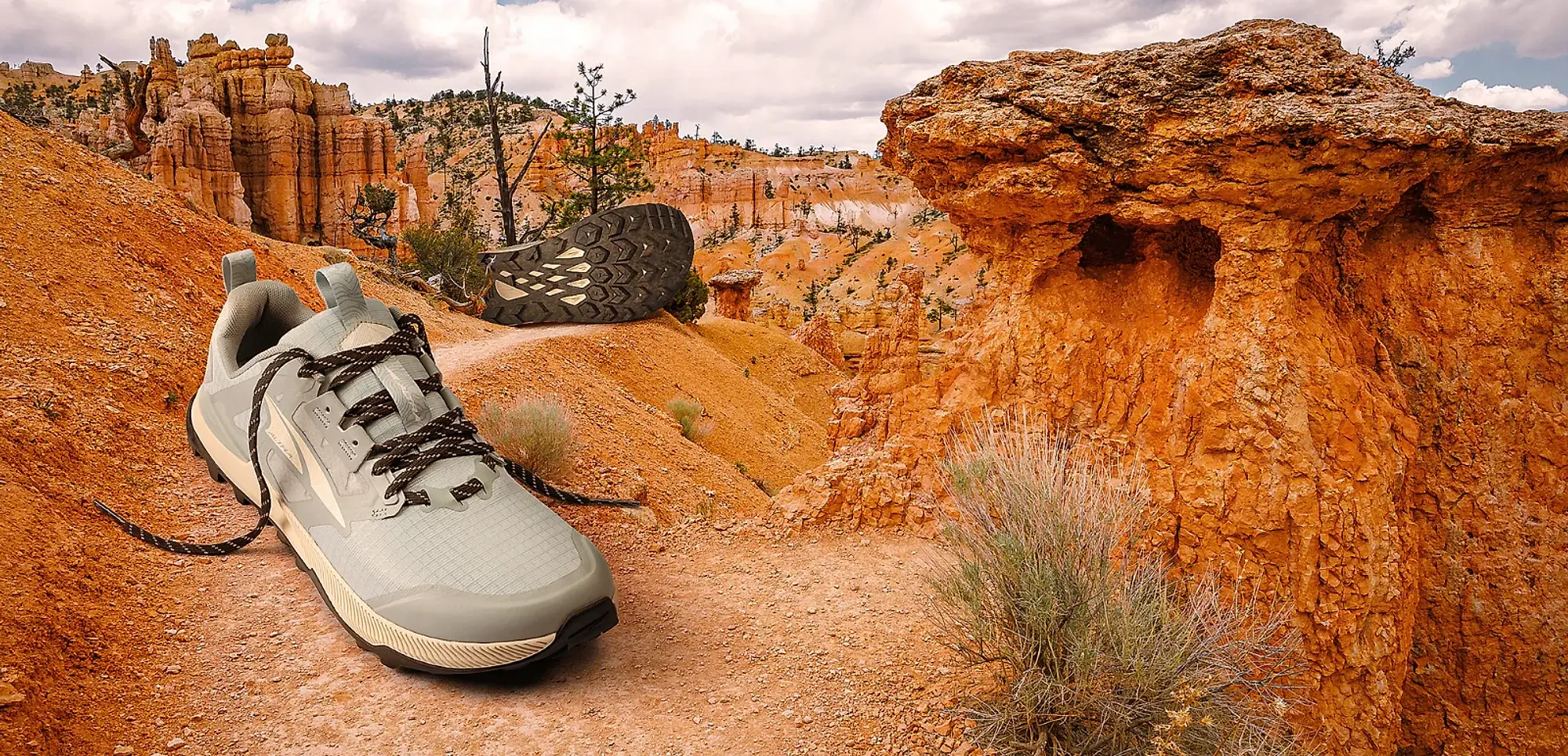 Best altra marathon shoe sales