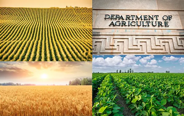 902ep Form Rcpp Every Farm Entity Must File a New Form 902E by Sept. 15, 2026 | TRP ...