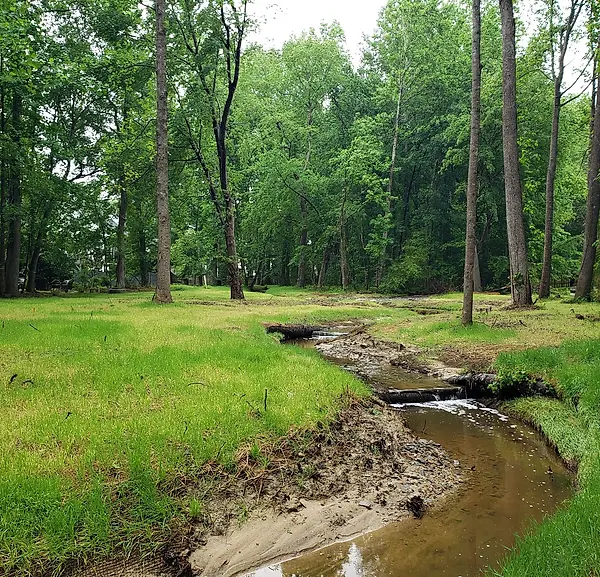 Grey Ridge Streams Rock Creek, Streambank Restoration | McAdams