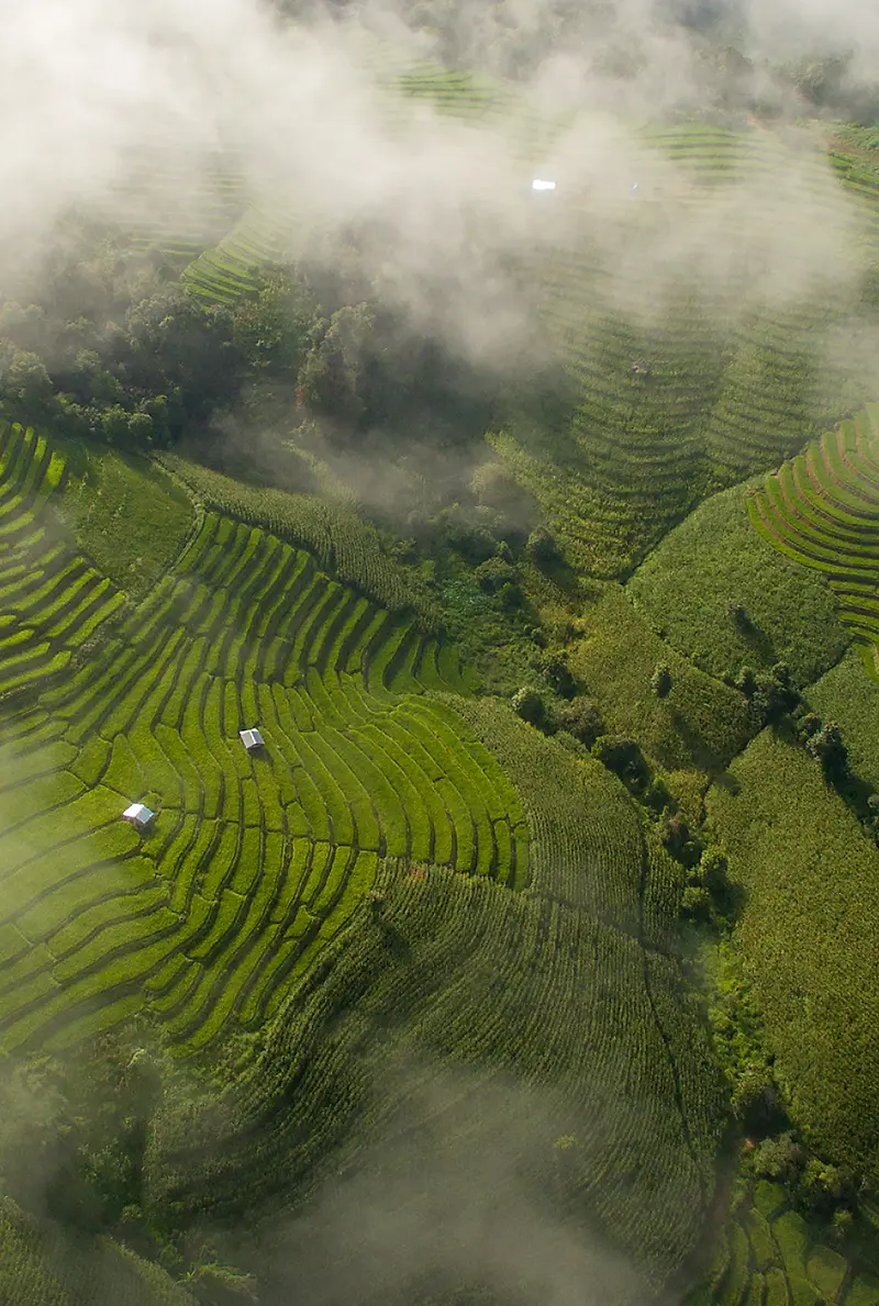 Why Food Security Is Built Long Before Food Reaches the Plate | CPM